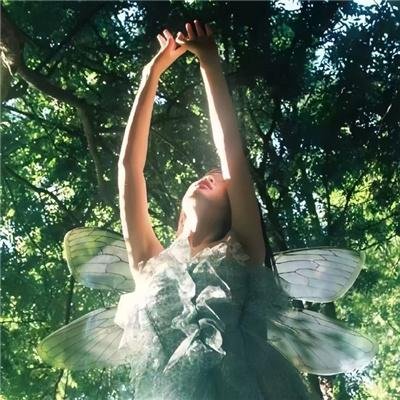 泡影昙花