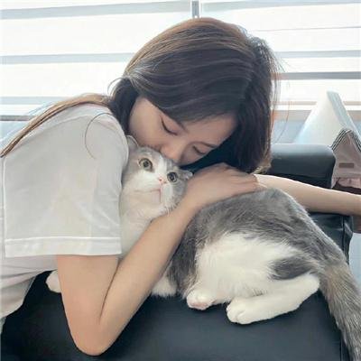 维罗提卡